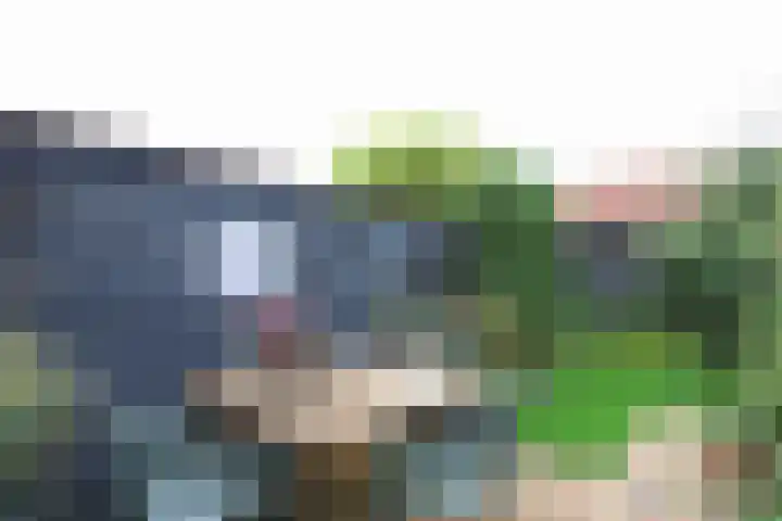 Prinsenpad 15 Rockanje thumbnail 53