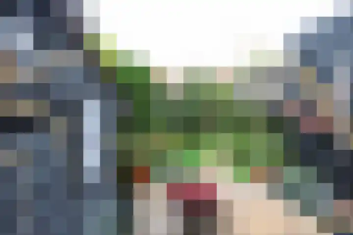 Prinsenpad 15 Rockanje thumbnail 54