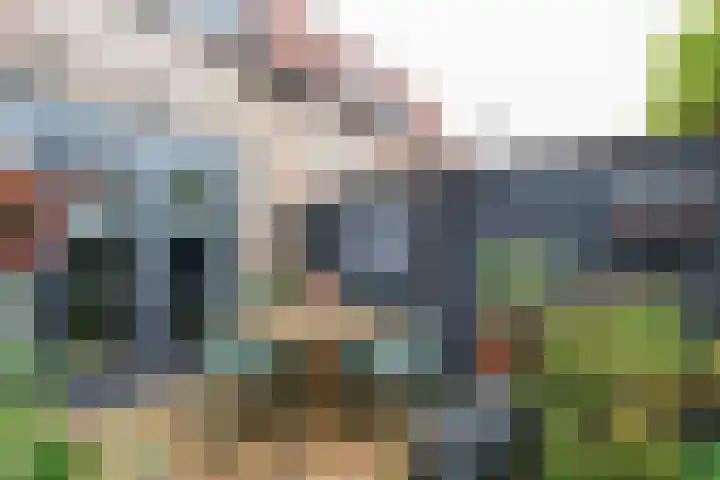 Prinsenpad 15 Rockanje thumbnail 55