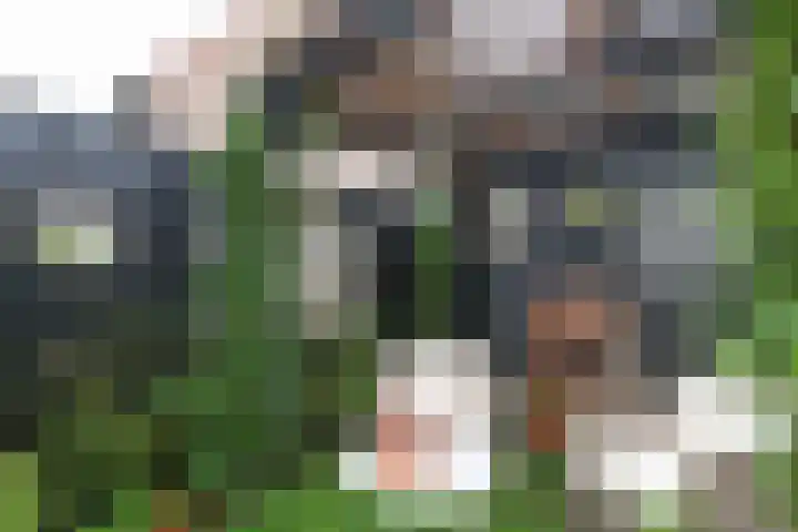 Prinsenpad 15 Rockanje thumbnail 58