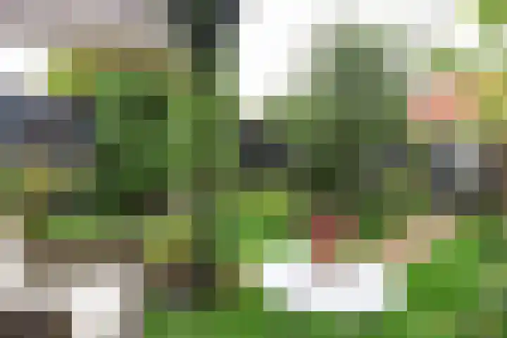 Prinsenpad 15 Rockanje thumbnail 59