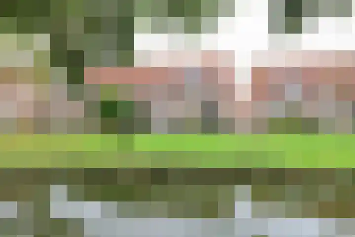 Prinsenpad 15 Rockanje thumbnail 6
