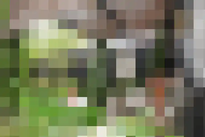 Prinsenpad 15 Rockanje thumbnail 60