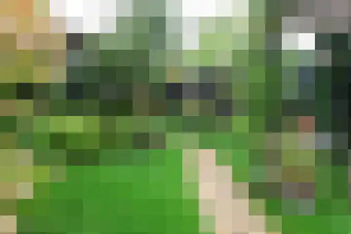 Prinsenpad 15 Rockanje thumbnail 61