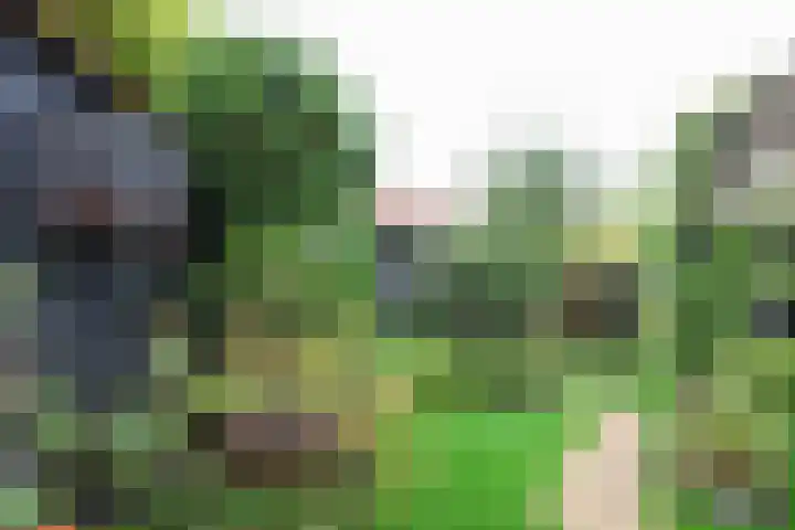 Prinsenpad 15 Rockanje thumbnail 62