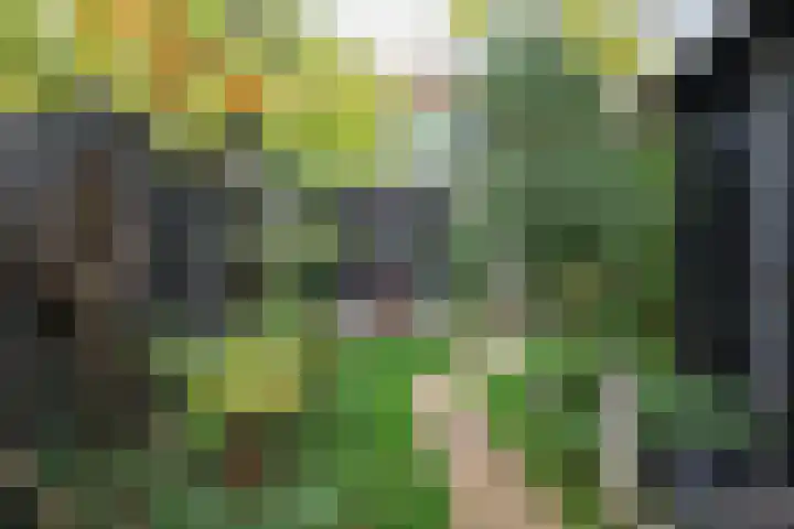 Prinsenpad 15 Rockanje thumbnail 63