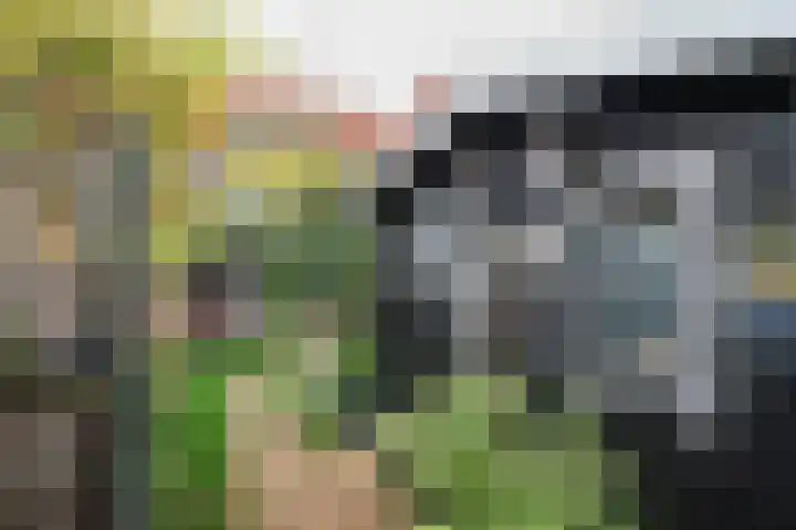 Prinsenpad 15 Rockanje thumbnail 64