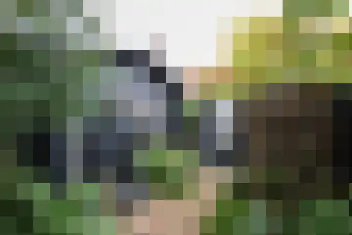 Prinsenpad 15 Rockanje thumbnail 65