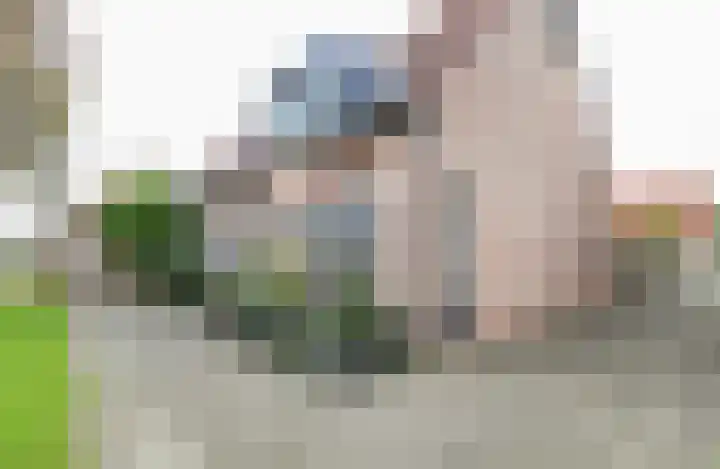 Prinsenpad 15 Rockanje thumbnail 7
