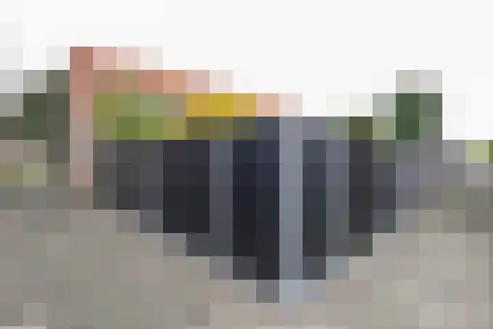 Prinsenpad 15 Rockanje thumbnail 8