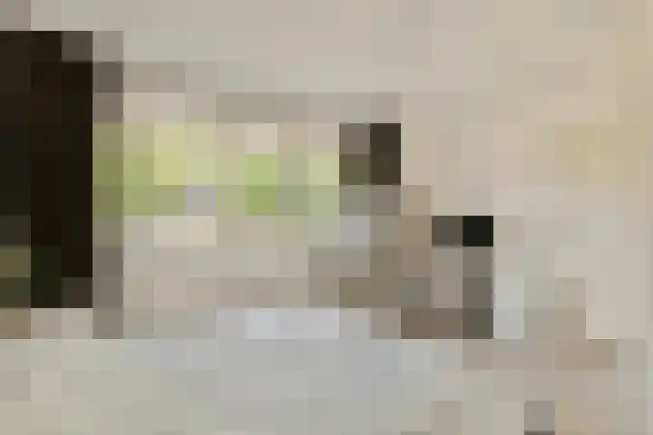 Prinsenpad 19 Almere thumbnail 14