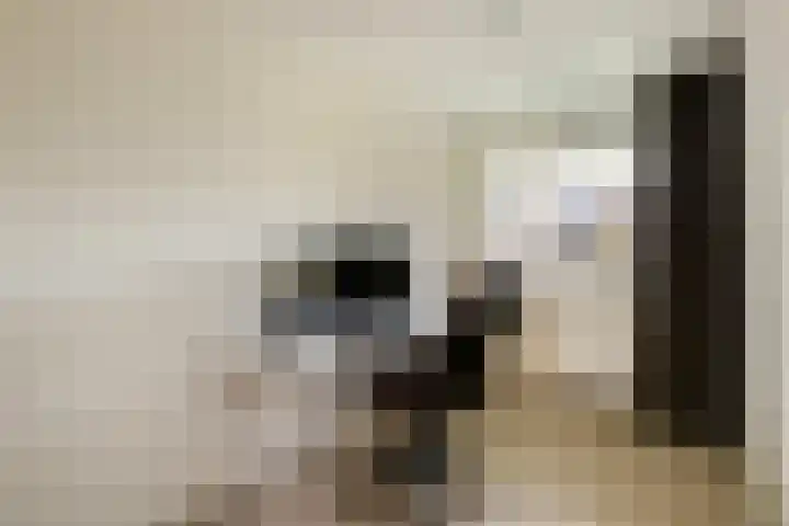 Prinsenpad 19 Almere thumbnail 17