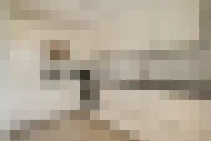 Prinsenpad 19 Almere thumbnail 8