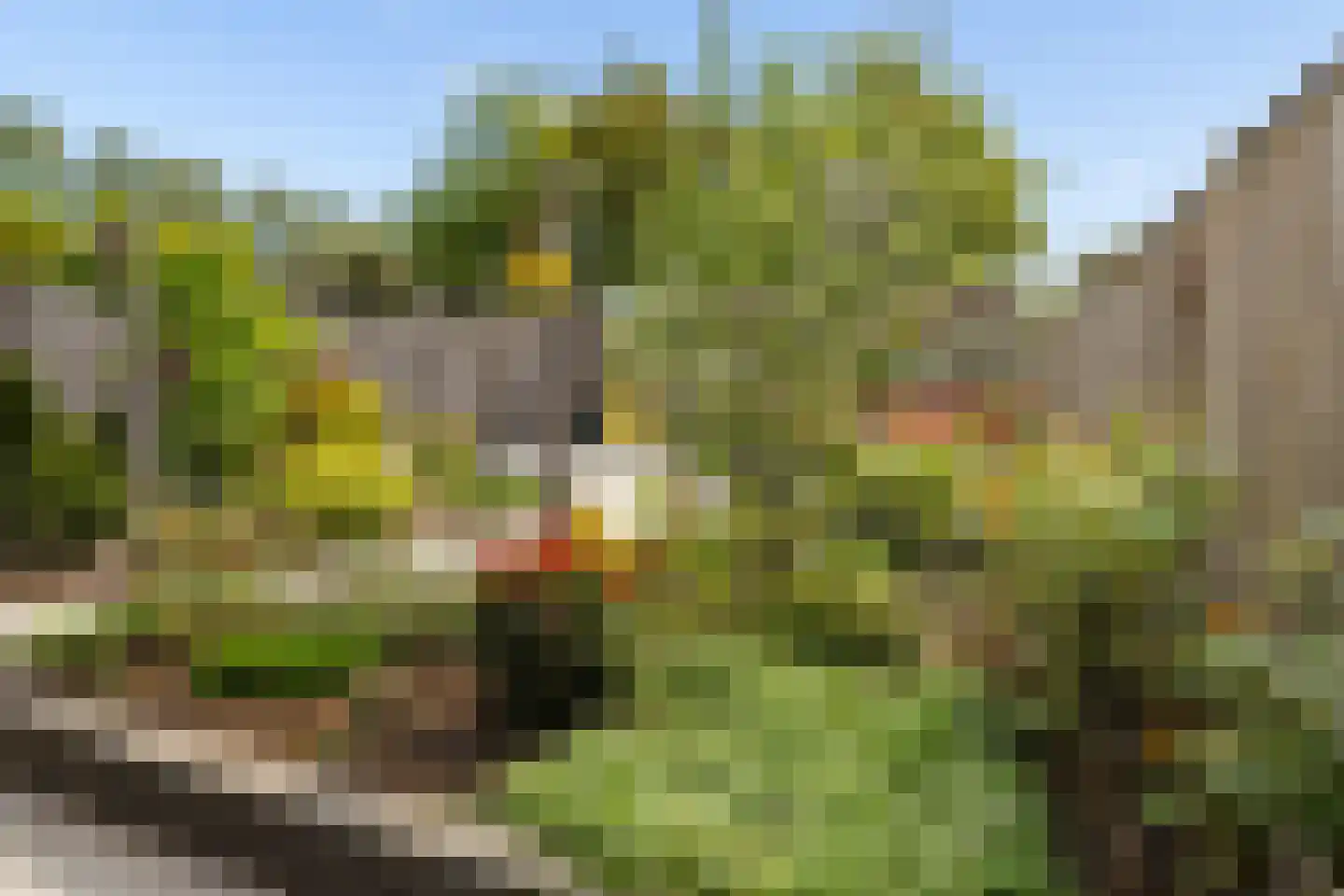 Prinsenpad 32 Almere thumbnail 35