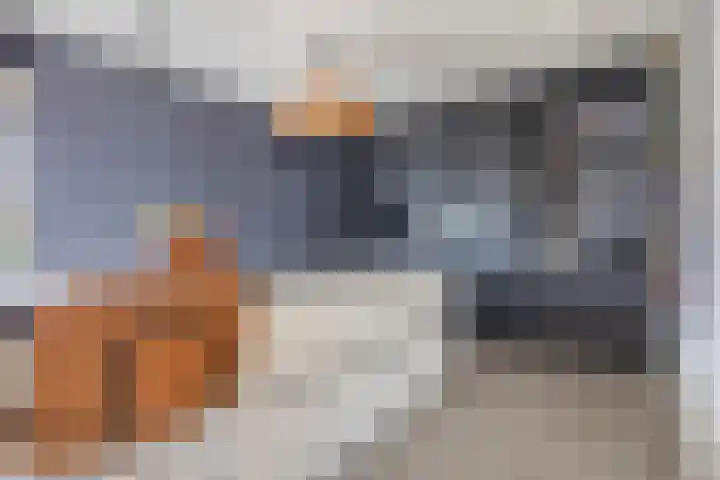 Prinsenpolder 10 Teteringen thumbnail 37