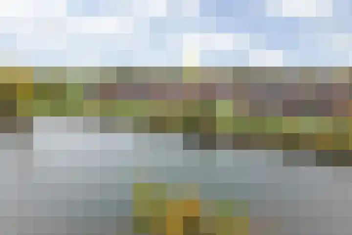 Prinsenpolder 10 Teteringen thumbnail 5