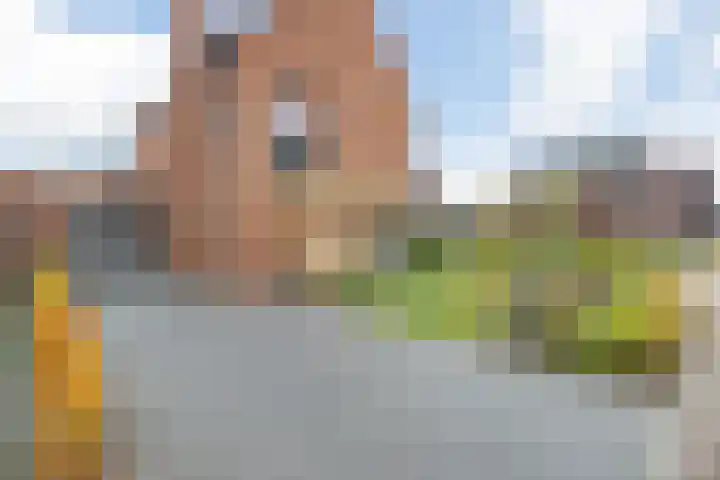Prinsenpolder 10 Teteringen thumbnail 6