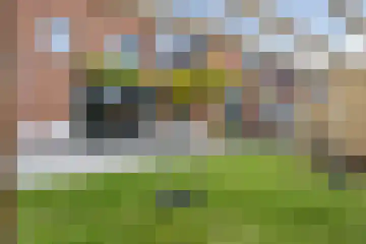 Prinsenpolder 10 Teteringen thumbnail 83