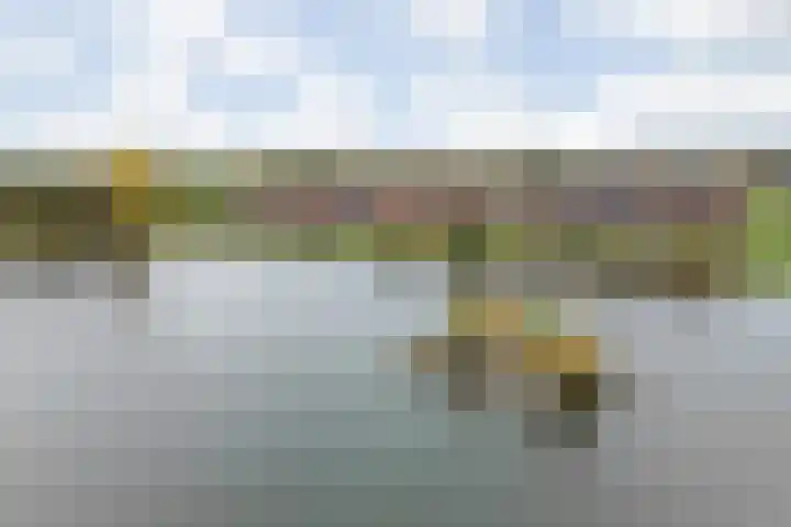 Prinsenpolder 10 Teteringen thumbnail 87