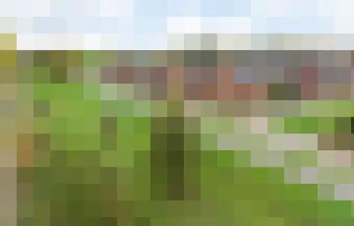 Prinsenpolder 10 Teteringen thumbnail 89