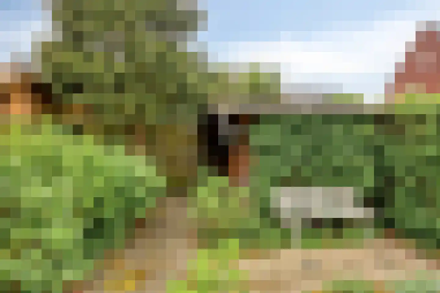 Prinsenpolderstraat 15 Made thumbnail 19