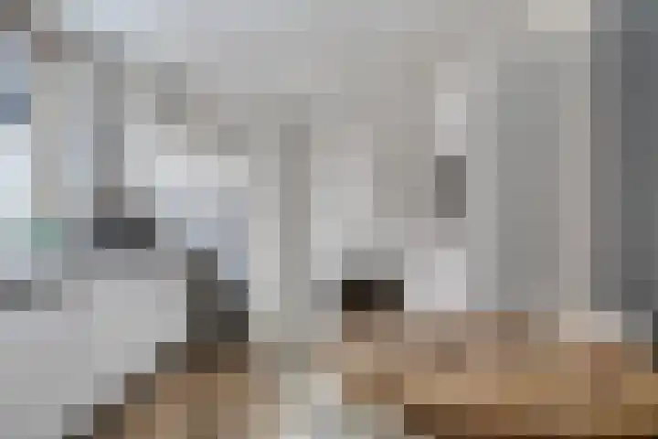 Prinsenpolderstraat 62 Made thumbnail 7