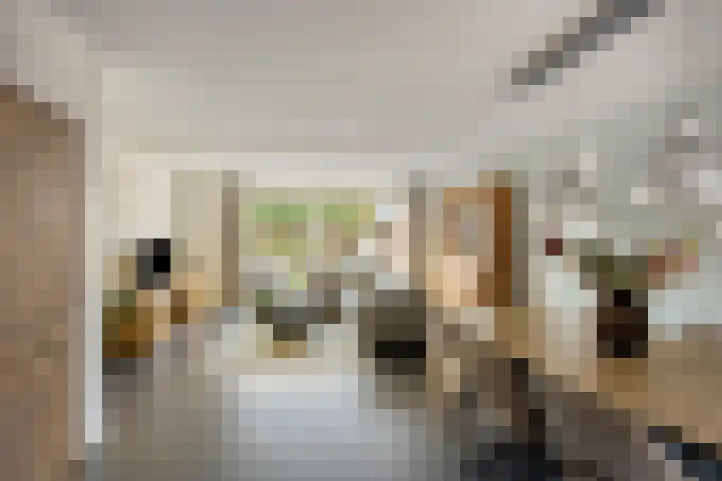 Prinsenstal 10 Beers NB thumbnail 19