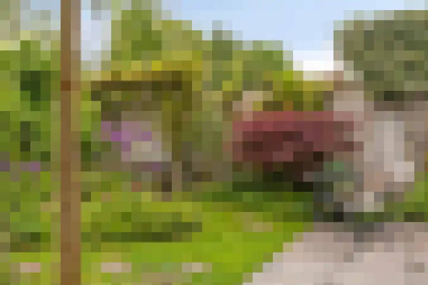 Prinsenstal 19 Beers NB thumbnail 31