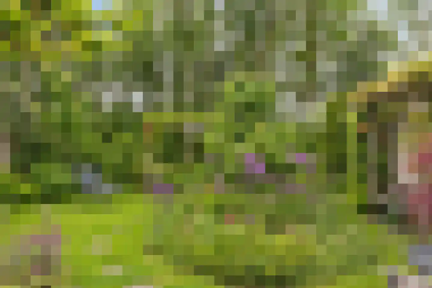Prinsenstal 19 Beers NB thumbnail 32