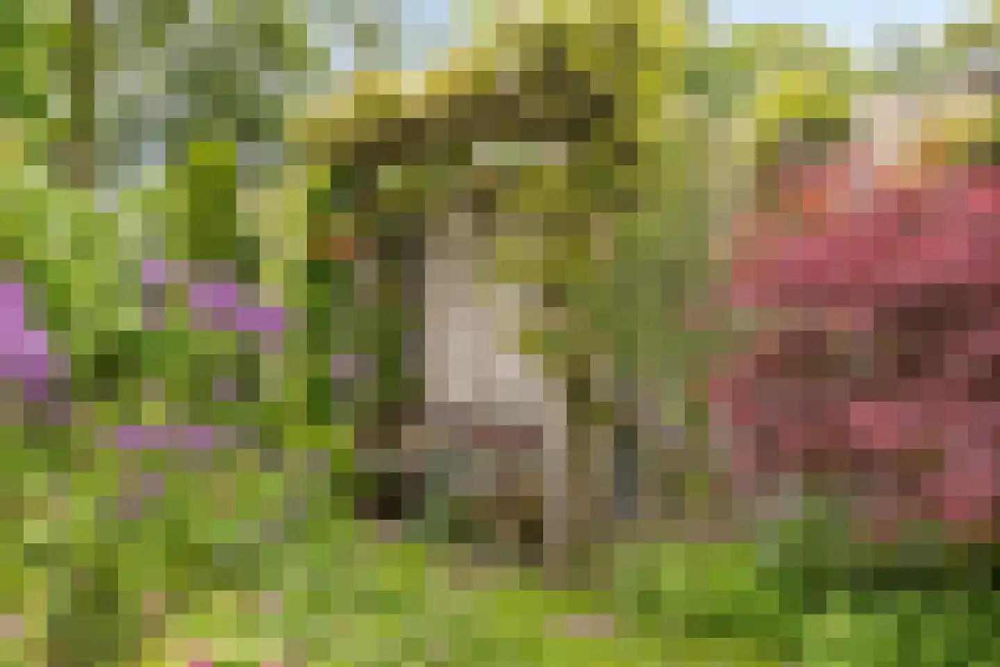 Prinsenstal 19 Beers NB thumbnail 33
