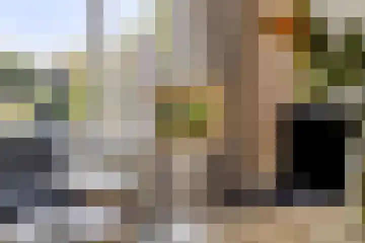 Prinsenstal 24 Beers NB thumbnail 15