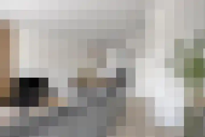 Prinsenstal 24 Beers NB thumbnail 16
