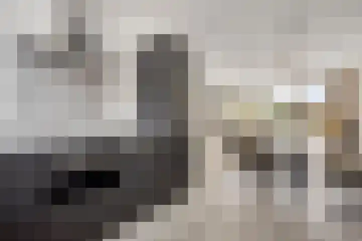 Prinsenstal 24 Beers NB thumbnail 19