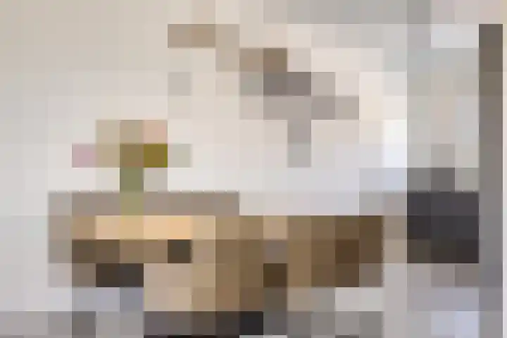 Prinsenstal 24 Beers NB thumbnail 21