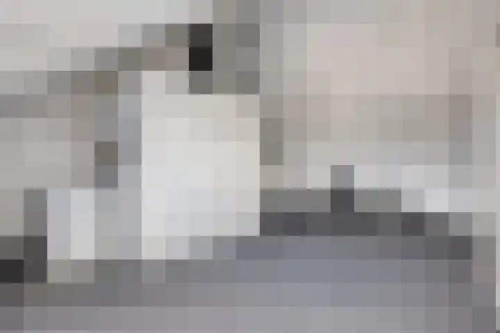 Prinsenstal 24 Beers NB thumbnail 31
