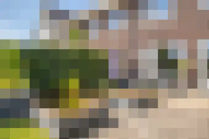 Prinsenstal 24 Beers NB thumbnail 33
