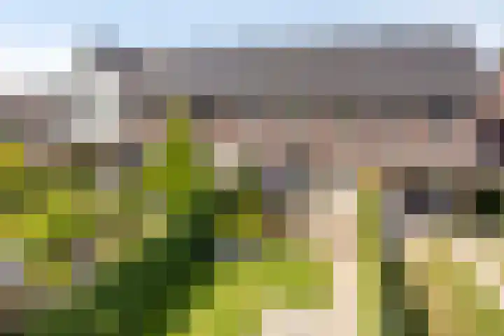 Prinsenstal 24 Beers NB thumbnail 35
