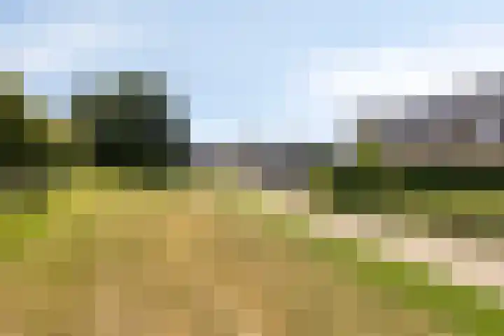 Prinsenstal 24 Beers NB thumbnail 36