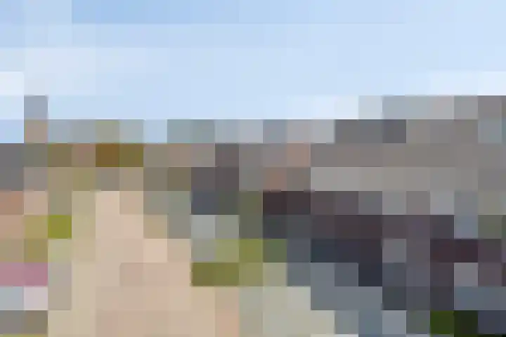 Prinsenstal 24 Beers NB thumbnail 5