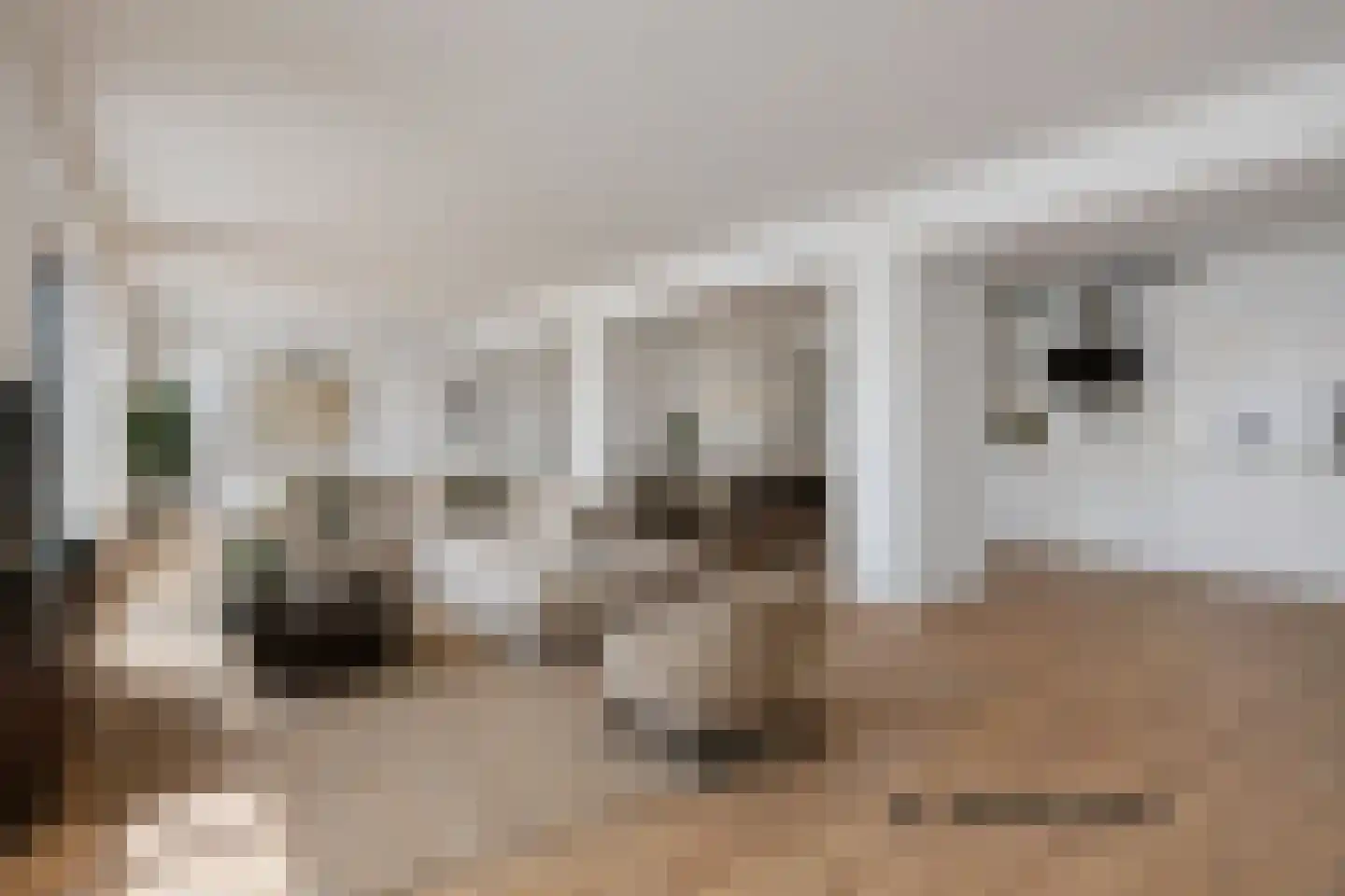 Prinsenstal 30 Grave thumbnail 18