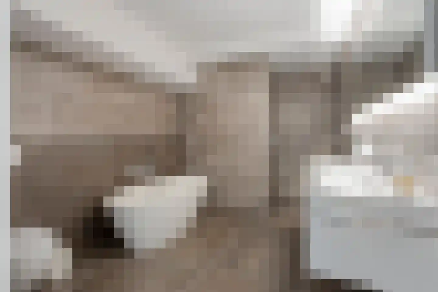 Prinsenstal 30 Grave thumbnail 26