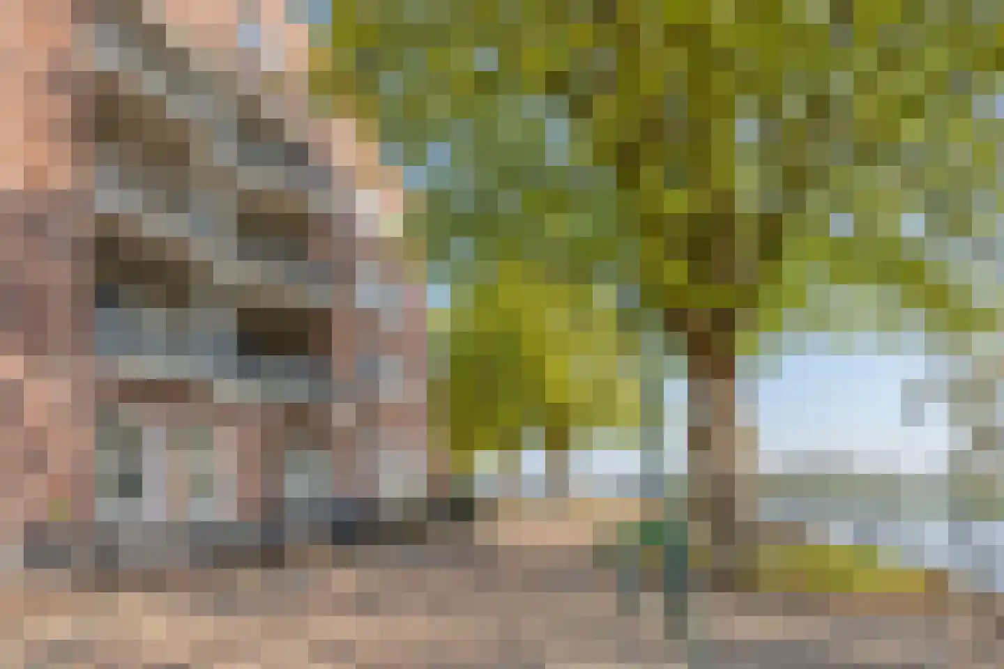 Prinsenstal 30 Grave thumbnail 33
