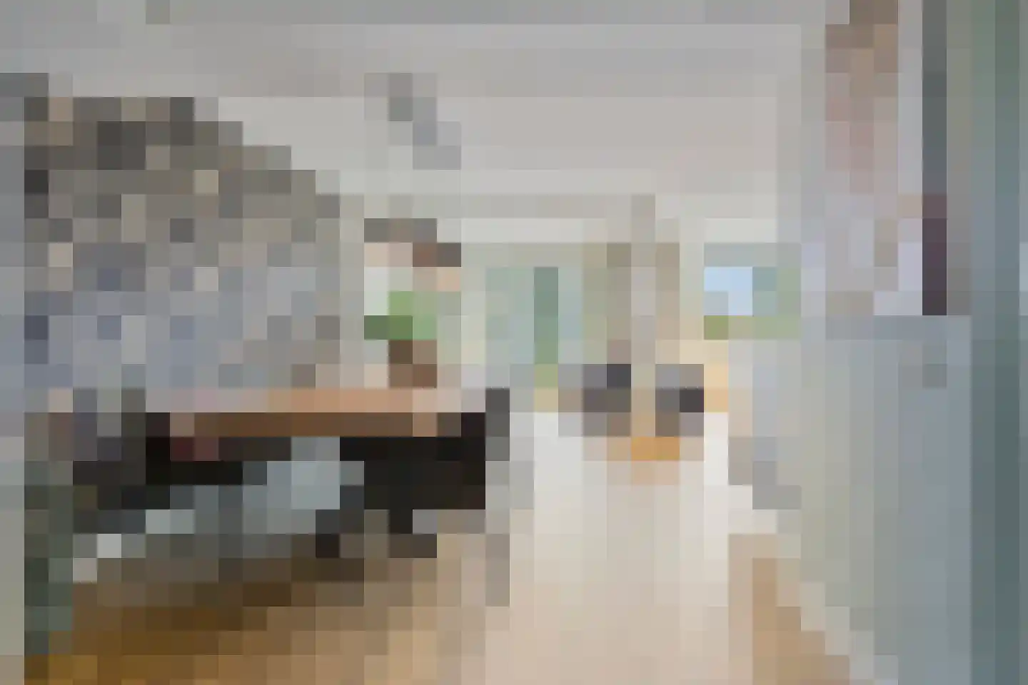 Prinsenstal 32 Grave thumbnail 11