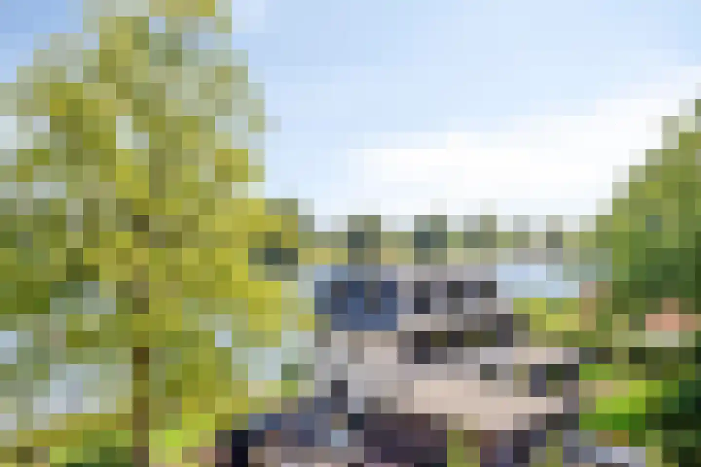 Prinsenstal 32 Grave thumbnail 16