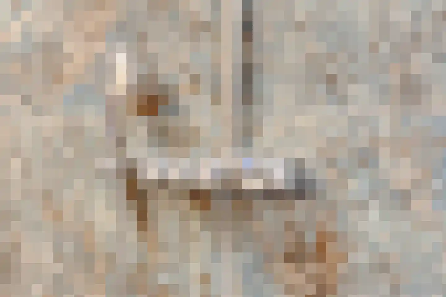Prinsenstal 32 Grave thumbnail 32