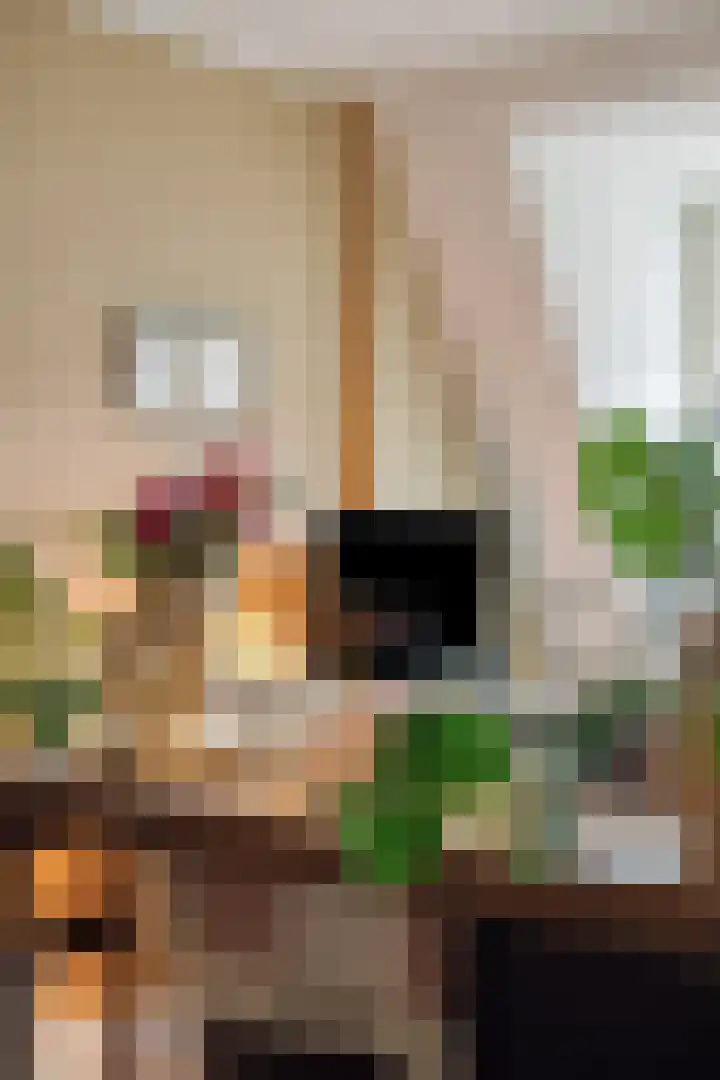 Prinsenstraat 1 K Aalten thumbnail 13