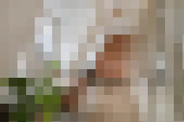 Prinsenstraat 1 K Aalten thumbnail 17