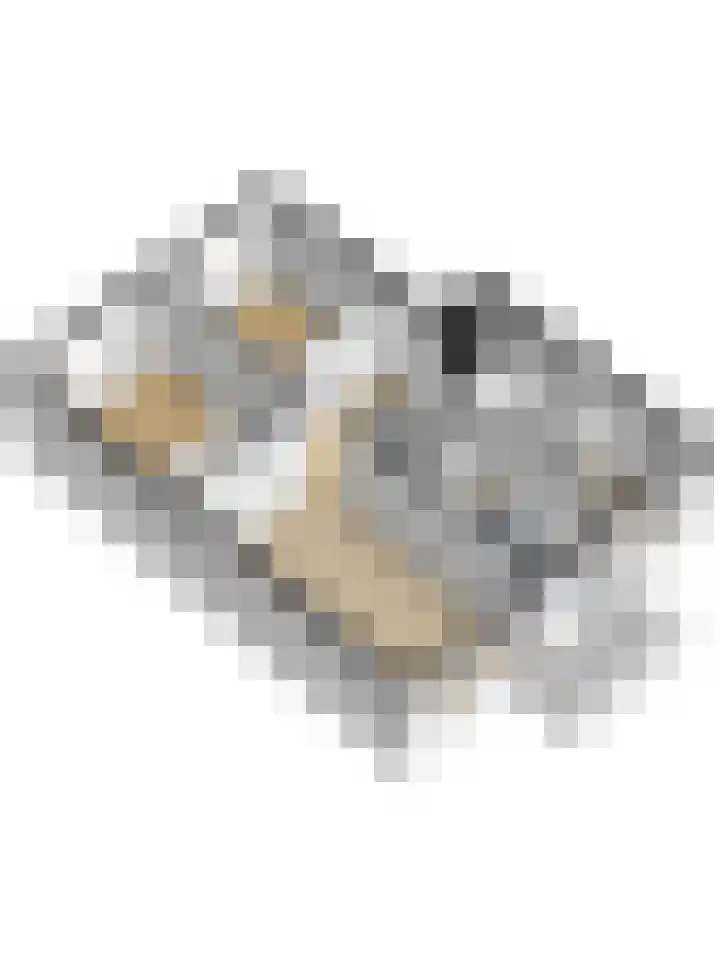 Prinsenstraat 109 Ridderkerk thumbnail 33