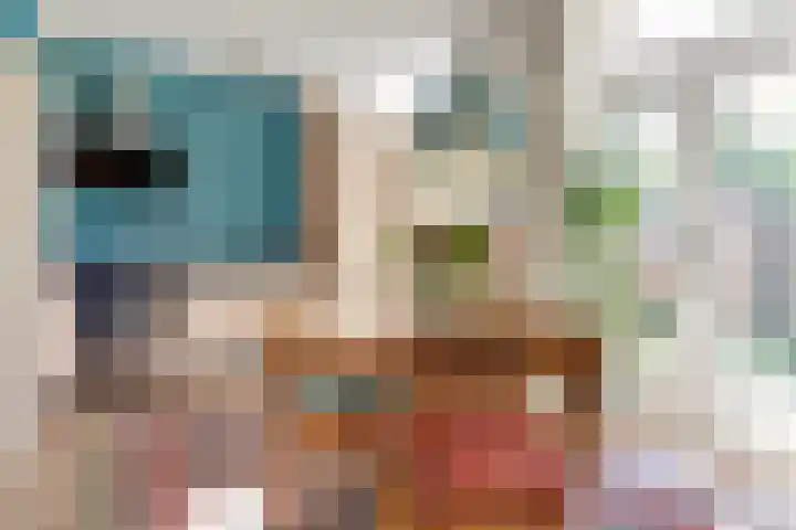 Prinsenstraat 11 Dieren thumbnail 11