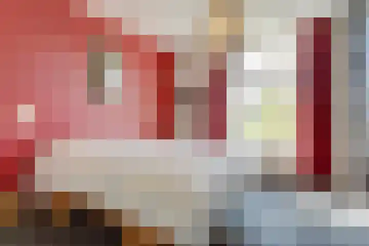 Prinsenstraat 11 Dieren thumbnail 15
